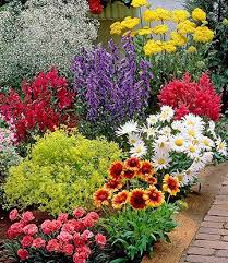 Bunter Staudengarten 1a Qualitat Kaufen Baldur Garten Garten Bepflanzen Staudengarten Pflanzen