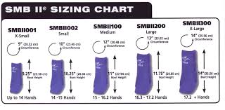 smbiisizechart