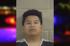 Kenny Diaz-Vicente — Whitfield County Jail Bookings