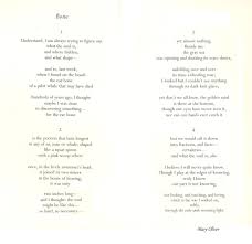 From Why I Wake Early By Mary Oliver Mary Oliver Lyric Quotes Remember