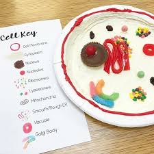 Full lesson ready to use straight 'out of the box'. 17 Matthew S 6 Grade Science Project The Plant Cell Ideas Plant Cell Cells Project Cell Model