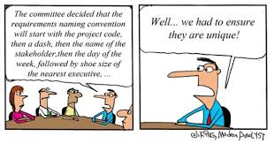 Humor Requirements Naming Or Numbering Standards Work Humor Humor Business Analysis