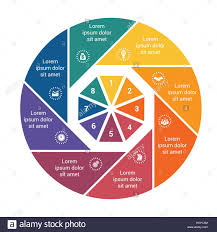 infographic business pie chart for 8 options step by step