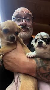 Videos de Daniel Coll (@daniwolf47) con “sonido original