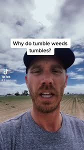 #farming101 #agriculture #nature #weeds #theresadifference