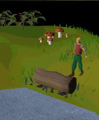 I think 99 fishing with barb is around 75 strength , runescape 2007 general, runescape 2007 general · i'd go with shilo, though barb fishing is about 10k xp or so more an hour, you actually have to work for that. Barbarian Training Osrs Wiki