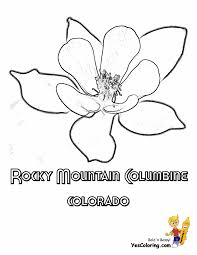 Apr 06, 2021 · arkansas state flower coloring page. Magnificent States Flower Coloring Sheets A G Alabama Georgia Free