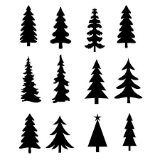 Christmas Tree Evergreen Clipart Silhouettes Eps Dxf Pdf Png Etsy Christmas Tree Drawing Christmas Tree Clipart Christmas Tree Silhouette