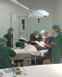 Gambar mewarnai tema dokter wartisen. Ciputra Hospital Archives Rumah Sakit Terbaik Berstandarisasi Internasional Ciputra Hospital