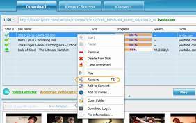 Fill in your purchase email and initial password sent by apowersoft support. Some Questions About Apowersoft Video Downloader