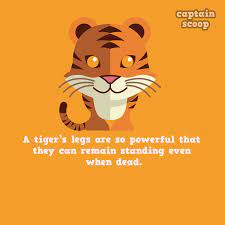 There are rats and mice that are ticklish and can laugh if you tickle them, well … interesting facts about animals. 15 Amazing Facts You Never Know About Animals Reckon Talk