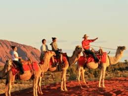 Enjoy fabulous views of uluru and kata tjuta from the back of your camel. Camel To Sunrise From 135 Aud Hot Holiday Ayers Rock Nt