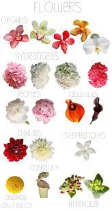 Maybe you would like to learn more about one of these? Below We Have Listed 100 Different Types Of Flowers And Their Names Which Florists Often Use To H Different Types Of Flowers Flower Arrangements Flower Guide