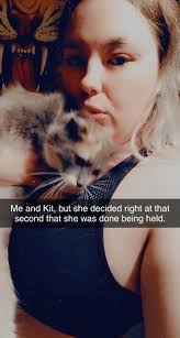 Missing Female Cat in East Pea Ridge Area of Barboursville, West Virginia