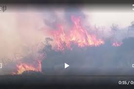 Pacific Palisades fire erupts, spurring ...