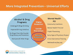 2 Cross Systems Integration In Behavioral Health Mental