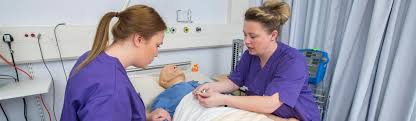 Analyze social, economic, ethical, cultural, legal, and political issues influencing nursing practice and healthcare in a global context. Nursing Ph D M Phil Swansea University
