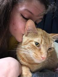 Audrey fights every day… and she's only 17 months old. 💙🩵 This October,  she was diagnosed with Type 1 diabetes, an autoimmune disease very  different from Type 2. Her mom, Amanda, rushed