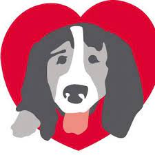 Maybe you would like to learn more about one of these? Coco S Heart Rescue Chdogrescue Twitter