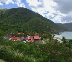Wood is available at the office for sale. New Owners To Take Over Carambola Resort By End Of Month St Thomas Source