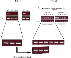Científicos al borde de un ataque de nervios