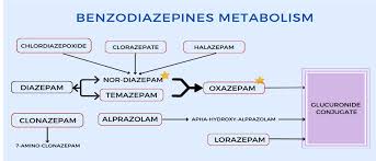 Image result for Halazepam