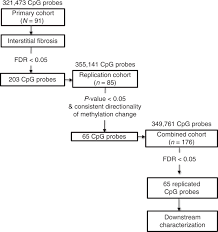 Once you are diagnosed your doctor will work out what stage of ckd you have. Kidney Cytosine Methylation Changes Improve Renal Function Decline Estimation In Patients With Diabetic Kidney Disease Nature Communications