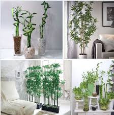 Check spelling or type a new query. Deco Bambou 23 Idees De Decorations Originales Et Zen