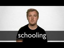Schooling synonyms, schooling pronunciation, schooling translation, english dictionary definition of schooling. Schooling Definition Und Bedeutung Collins Worterbuch