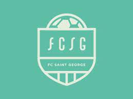 List of all team logos available to set on dedicated server or in local game and guide on adding your own logos into the game. Fcsg Football Logo Design Sports Logo Sports Logo Design