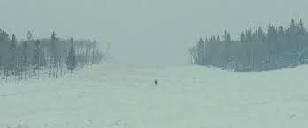 The Assassination Of Jesse James By The Coward Robert Ford Cinematography The Assassination Of Jesse James By The Coward Robert Ford Assassination Of Jesse James Jesse James Cinematography