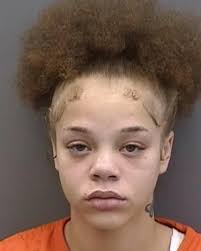 Tampa Bay Mugshots