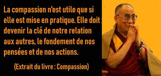 Отметок «нравится», 506 комментариев — ramous (@ramous) в instagram: 230 Citations Du Dalai Lama En 21 Categories Bonte Paix Vie Etc Et 5 Photos