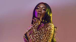 Buy merchandise, tickets, tour dates, videos, music and more. Cam Ron Wird Heftig Fur Transfeindliche Megan Thee Stallion Memes Kritisiert Hiphop De