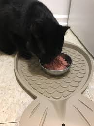 Do you agree with darwin's natural pet products's star rating? Darwin S Raw Cat Food Review Yeezy Penny Raw Cat Food Recipes Cat Food Reviews Natural Pet Food