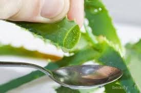 Check spelling or type a new query. Wah Ini Dia Cara Mudah Dan Praktis Membuat Gel Lidah Buaya Sendiri
