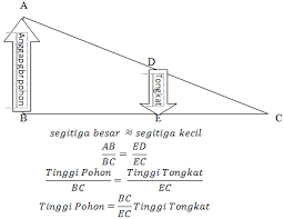 Oleh karena itu, materi dan tata cara menaksir tinggi wajib dikuasai oleh setiap pramuka terutama bagi pramuka penggalang. Idn Scouts