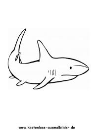 Ausmalbild Hai In 2020 Ausmalen Ausdrucken Ausmalbild