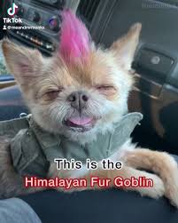 images?q=tbn:ANd9GcQJqLyauQBJFAWJSl8xrc3