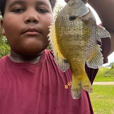 ᐅ Uchee Creek fishing reports🎣• Grovetown, GA (United States) fishing