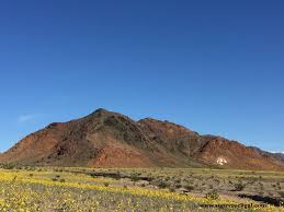 A rare super bloom of wildflowers in death valley national park has covered the hottest and driest place in north america with a carpet of gold, attracting every spring, some wildflowers bloom before it gets scorching hot, but the abundance of flowers this year is extremely unusual and happens about. Death Valley Super Bloom 2016 Super Rock Gal