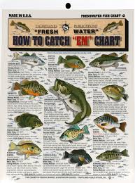 Fishermans Freshwater Fish Chart 3