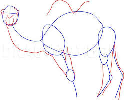 This guide of how to draw a camel step by step is easy and quick. How To Draw A Camel Step By Step Drawing Guide By Dawn Dragoart Com