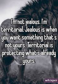 I M Territorial Google Search Great Inspirational Quotes Inspirational Quotes Motivation Words