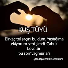 Tc Kara Kartal Adli Kullanicinin Anlamli Hayat Ve Sozler Panosundaki Pin Guzel Soz Adlar Siir