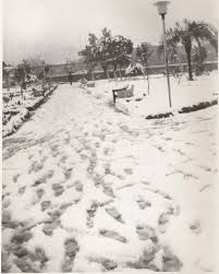 Nas montanhas mais altas pode ver às vezes a neve no inverno. Brrrrrrrr Registros Historicos De Geada E Neve No Rs Forum Outer Space O Maior Forum De Games Do Brasil