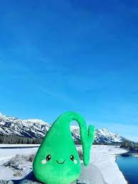 Gallbladder Plush Organ Toys Who You Gonna Gall Stone Busters Nerdbugs Gallbladder Plushie Organ Cute Toys Stuffed Animal Cat Plush