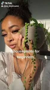 10 House plants ideas to save today