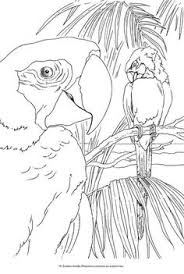 And i and ii kind of want to bring that out. 17 Sanctuary Ideas Bird Coloring Pages Coloring Books Coloring Pages