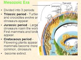 Refer to the following image to understand the timeline of this era, depending on the variation of. Fossils The Geologic Time Scale Events In Your
